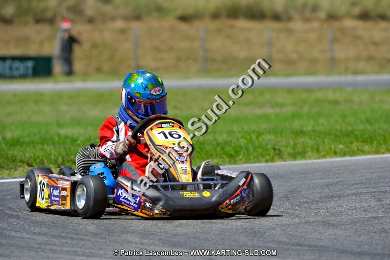 DSC_ (1462).jpg